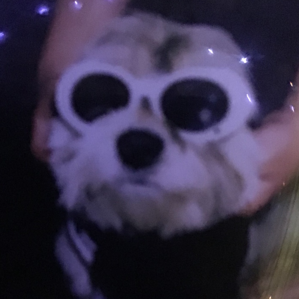 Meet your Posher, Kendal